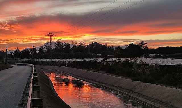 Los Ribereños lamentan un nuevo trasvase para regadío cuando hay agua de sobra en la Cuenca del Segura para regar y beber - 1, Foto 1