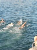 El totanero José Miguel Cano participó en el campeonato de España master de natación de verano, en Report Olayitas (Fuenteventura). - 5