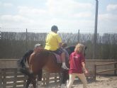 PADISITO visita un centro de terapias ecuestres en Alhama de Murcia - Foto 4