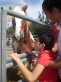 PADISITO visita un centro de terapias ecuestres en Alhama de Murcia - Foto 7