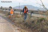 El ayuntamiento lleva a cabo un plan de choque de limpieza de caminos - 8 El ayuntamiento lleva a cabo un plan de choque de limpieza de caminos - 8