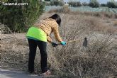 El ayuntamiento lleva a cabo un plan de choque de limpieza de caminos - 16 El ayuntamiento lleva a cabo un plan de choque de limpieza de caminos - 16