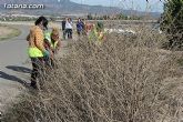 El ayuntamiento lleva a cabo un plan de choque de limpieza de caminos - 19 El ayuntamiento lleva a cabo un plan de choque de limpieza de caminos - 19