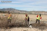 El ayuntamiento lleva a cabo un plan de choque de limpieza de caminos - 21 El ayuntamiento lleva a cabo un plan de choque de limpieza de caminos - 21