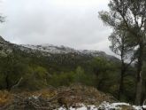 Caen las primeras nieves del 2014 en Sierra Espuña - Foto 2