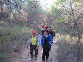Una veintena de senderistas participaron en la ruta organizada por Deportes en Sierra Espuña por el término municipal de Pliego - 8