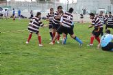 Gran participación del Club de Rugby de Totana en el Campeonato de Escuelas de Rugby - 31