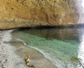 El programa de senderismo de la concejalia de Deportes se despide hasta el próximo mes de septiembre con una ruta a Puntas de Calnegre - 30 El programa de senderismo de la concejalia de Deportes se despide hasta el próximo mes de septiembre con una ruta a Puntas de Calnegre - 30