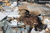 Las escombreras ilegales son un ejemplo más de la desidia del Partido Popular de Totana - 9 Las escombreras ilegales son un ejemplo más de la desidia del Partido Popular de Totana - 9