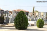 El Ayuntamiento pone a punto el Cementerio Municipal Nuestra Señora del Carmen para la celebración del Día de Todos los Santos 2014 - 30