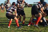 El Club de Rugby Totana líder en todas las categorías - 13