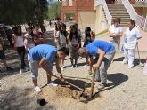 El IES Prado Mayor celebró del Día Mundial de Medio Ambiente 2015 - 23