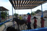 14 niños y niñas participan en el Taller con Ponis y Caballos - 1