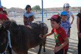 14 niños y niñas participan en el Taller con Ponis y Caballos - 3