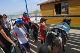 14 niños y niñas participan en el Taller con Ponis y Caballos - 5