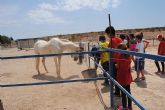 14 niños y niñas participan en el Taller con Ponis y Caballos - 16