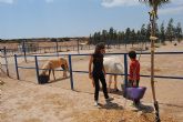 14 niños y niñas participan en el Taller con Ponis y Caballos - 18