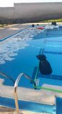 Denuncian actos vandálicos en las piscinas del Complejo Deportivo Guadalentín de la pedanía de El Paretón-Cantareros - 6