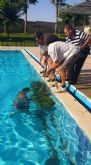 Denuncian actos vandálicos en las piscinas del Complejo Deportivo Guadalentín de la pedanía de El Paretón-Cantareros - 10
