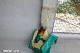 Denuncian actos vandálicos en el Colegio Tierno Galván y otros - 4