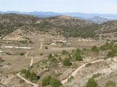 Reforestación en el paraje de Prado Mayor, en el Parque Regional de Sierra Espuña - 13