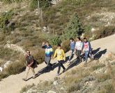 Reforestación en el paraje de Prado Mayor, en el Parque Regional de Sierra Espuña - 15