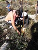 Reforestación en el paraje de Prado Mayor, en el Parque Regional de Sierra Espuña - 20