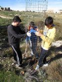 Reforestación en el paraje de Prado Mayor, en el Parque Regional de Sierra Espuña - 21