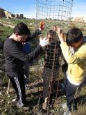 Reforestación en el paraje de Prado Mayor, en el Parque Regional de Sierra Espuña - 22