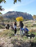 Reforestación en el paraje de Prado Mayor, en el Parque Regional de Sierra Espuña - 23