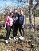 Reforestación en el paraje de Prado Mayor, en el Parque Regional de Sierra Espuña - 25