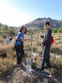 Reforestación en el paraje de Prado Mayor, en el Parque Regional de Sierra Espuña - 30