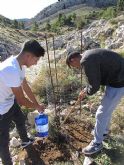 Reforestación en el paraje de Prado Mayor, en el Parque Regional de Sierra Espuña - 31