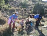 Reforestación en el paraje de Prado Mayor, en el Parque Regional de Sierra Espuña - 33