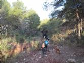 Unos treinta senderistas participaron en la ruta Rambla Pistacheros - Cueva Roblecillo, organizada por el Club Senderista de Totana - 5