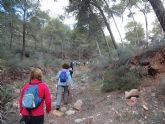 Unos treinta senderistas participaron en la ruta Rambla Pistacheros - Cueva Roblecillo, organizada por el Club Senderista de Totana - 19