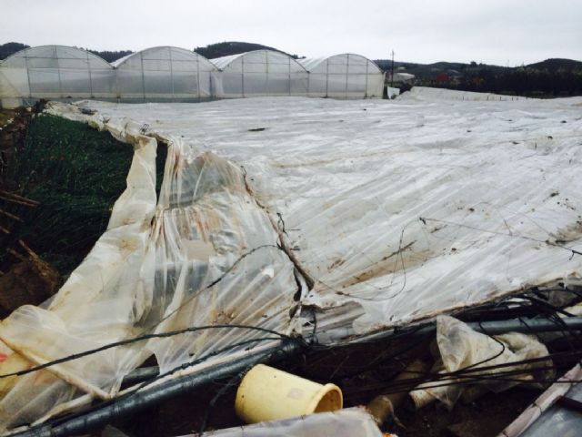 El PSOE pide al Gobierno regional ayudas económicas para paliar los graves destrozos ocasionados por la nieve en Cehegín y sus pedanías - 1, Foto 1
