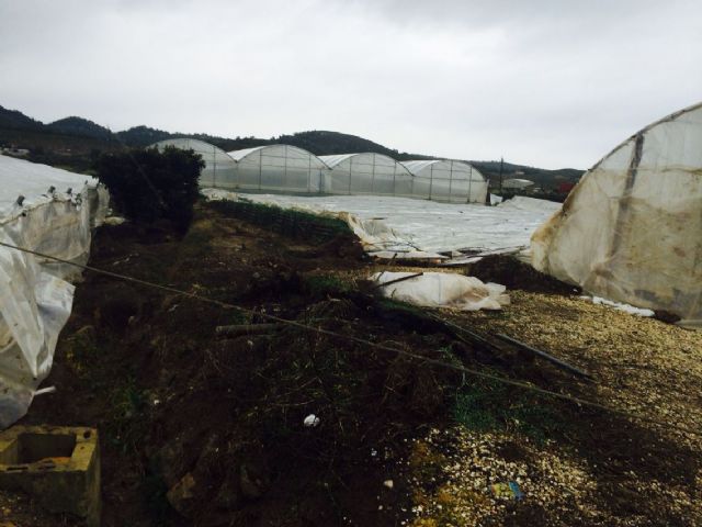El PSOE pide al Gobierno regional ayudas económicas para paliar los graves destrozos ocasionados por la nieve en Cehegín y sus pedanías - 2, Foto 2