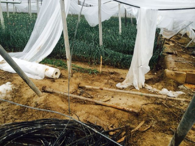 El PSOE pide al Gobierno regional ayudas económicas para paliar los graves destrozos ocasionados por la nieve en Cehegín y sus pedanías - 3, Foto 3