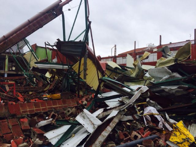 El PSOE pide al Gobierno regional ayudas económicas para paliar los graves destrozos ocasionados por la nieve en Cehegín y sus pedanías - 5, Foto 5