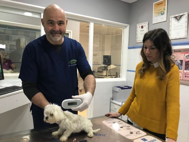 Más de 1.200 mascotas fueron chipadas durante 2018 - 1, Foto 1