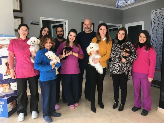 Más de 1.200 mascotas fueron chipadas durante 2018 - 2, Foto 2