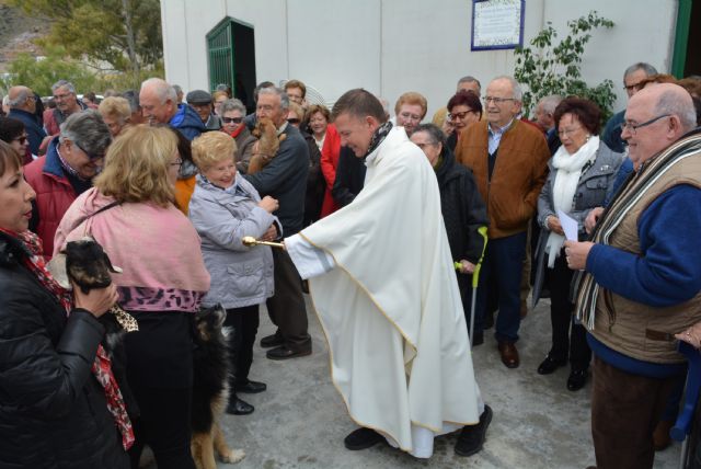 La pedanía de Tébar celebró las fiestas en honor a San Antonio Abad - 3, Foto 3