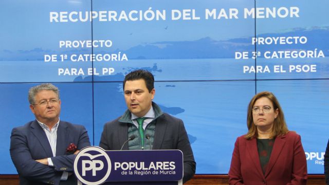 El PP afirma que el PSOE trata la recuperación del Mar Menor como un proyecto de tercera mientras para el PP es de primera categoría - 1, Foto 1