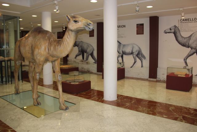 Fitur 2019 viajará en el tiempo con 'Jumilla, vino… y museos' - 1, Foto 1