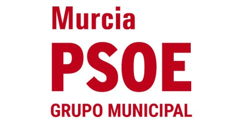 El PSOE pide a Ballesta que se deje los tranvibuses y se remangue para solventar los gravísimos problemas de transporte - 1, Foto 1