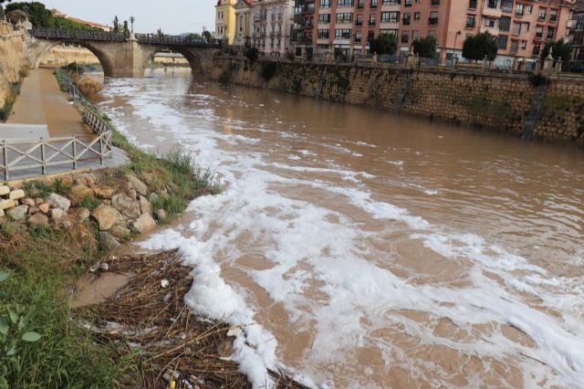 Huermur denuncia de nuevo las espumas aparecidas hoy en el Río Segura a su paso por Murcia - 3, Foto 3