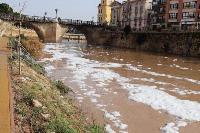 Huermur denuncia de nuevo las espumas aparecidas hoy en el Río Segura a su paso por Murcia - 4, Foto 4