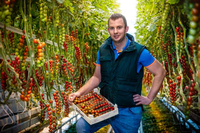 BASF ha dado inicio al proceso de registro a nivel global de una nueva materia activa insecticida respetuosa con el medio ambiente - 1, Foto 1