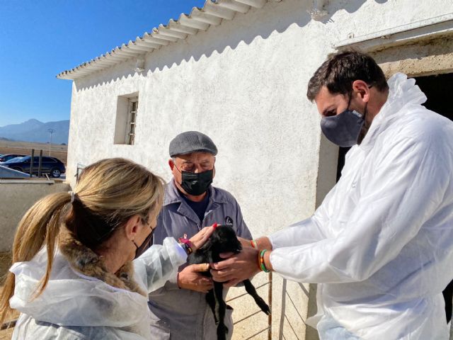 VOX visita las pedanías de Lorca olvidadas por PP y PSOE y muestra su apoyo a los ganaderos - 1, Foto 1